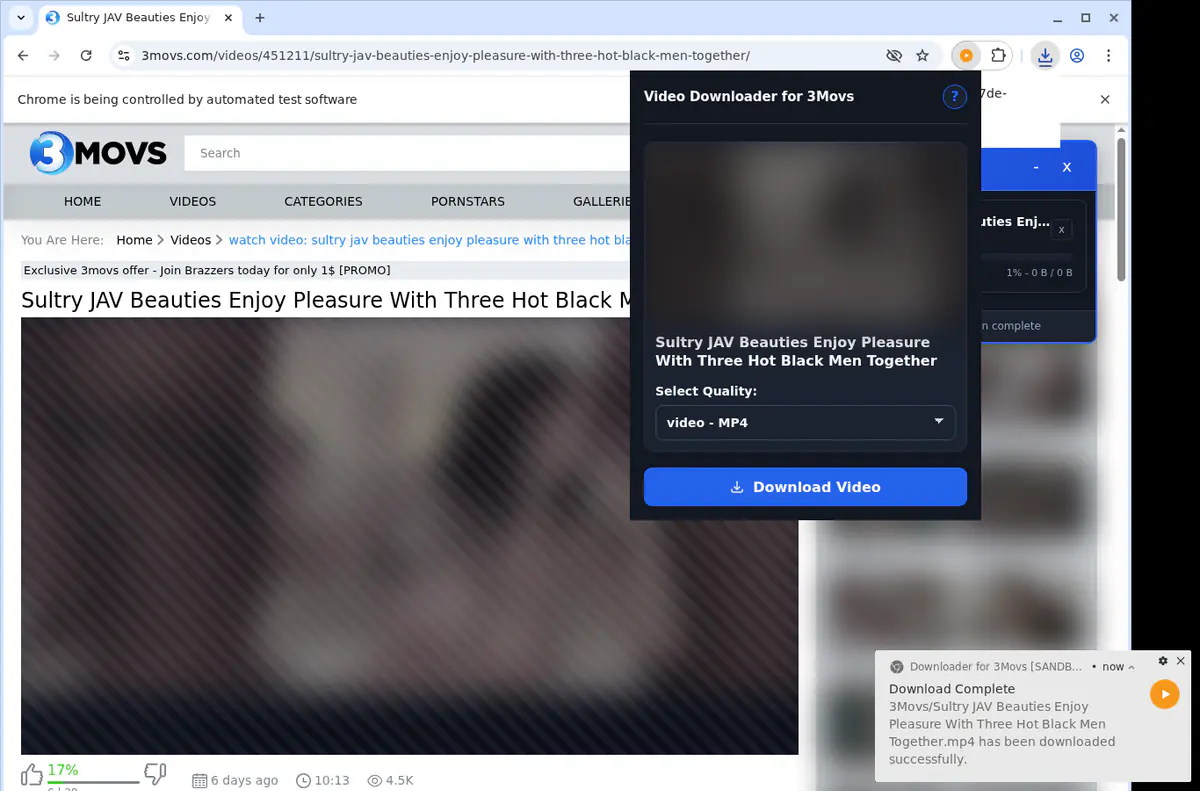 3movs Video Downloader screenshot 3