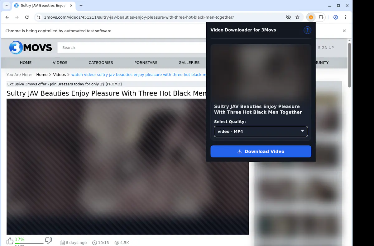 3movs Video Downloader screenshot 4